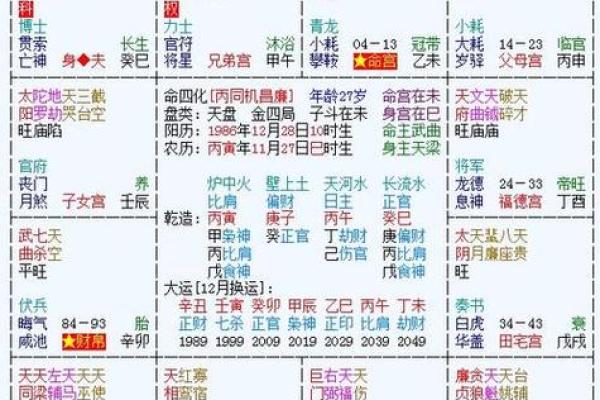 2025年3月1日丑时男命紫微斗数全解盘 2025年3月1日丑时男命紫微斗数全解盘