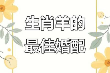 2003年属羊最佳结婚年龄 2003年属羊一生有几次婚姻