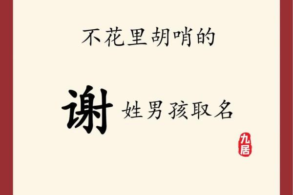 2019年3月25号卯时出生的男孩起名方法姓名