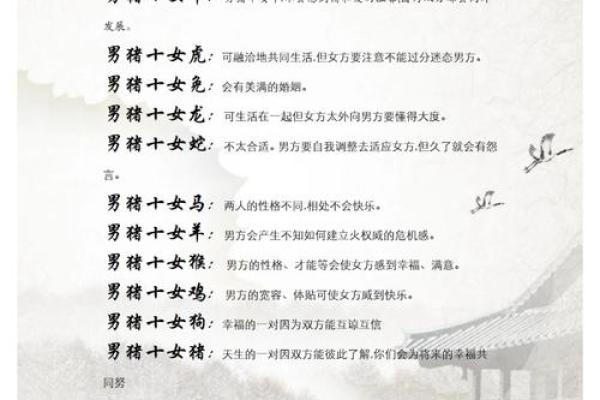 2月份出生的属猪男孩起什么名字好姓名