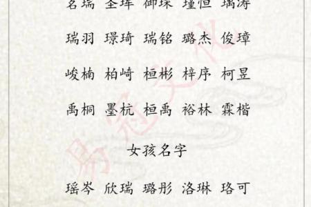 2019年3月25号卯时出生的男孩起名方法姓名