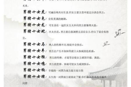 2月份出生的属猪男孩起什么名字好姓名