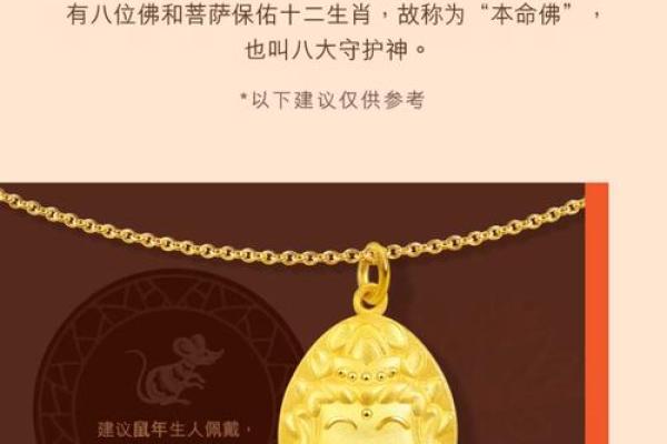 上午10点出生的属鸡男孩应该起什么名字姓名 上午10点出生的属鸡男孩应该起什么名字姓名