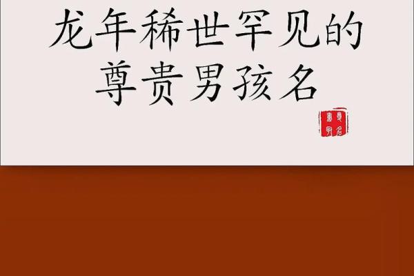 2019年3月29号酉时出生的男孩起名时要注意什么姓名 2019年3月29号酉时出生的男孩起名时要注意什么姓名