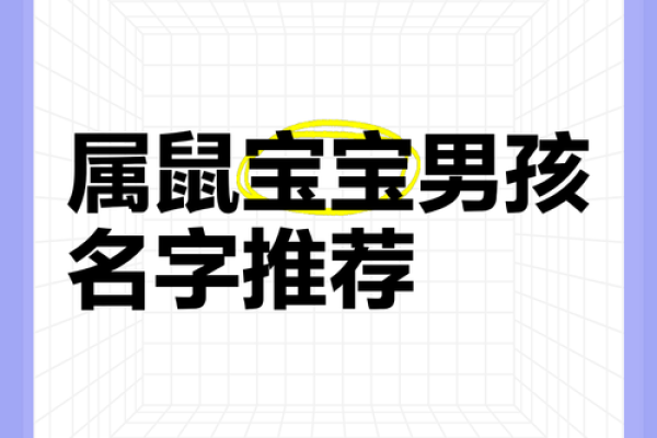 要怎么给中午12点出生的属鼠男孩起名最好姓名