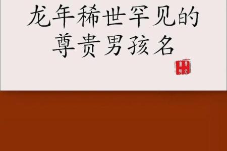 2019年3月29号酉时出生的男孩起名时要注意什么姓名
