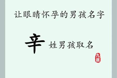 2019年6月20号卯时出生的男孩起名时要注意什么姓名