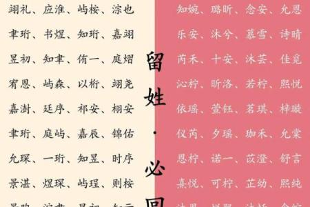 1月份出生的属羊男孩起什么名字好？姓名
