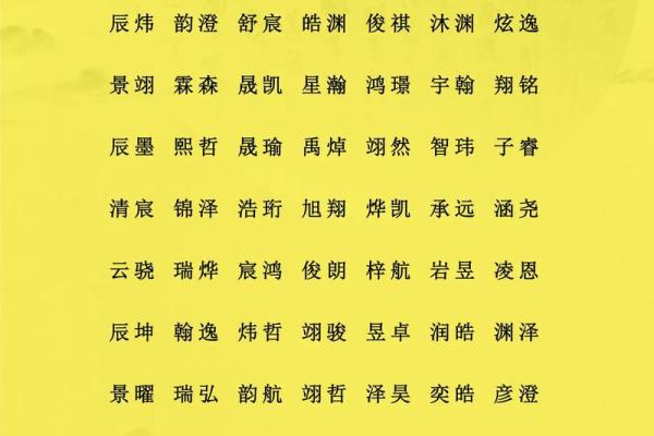 2月份出生的属龙男孩如何起名姓名