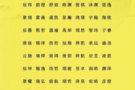 2月份出生的属龙男孩如何起名姓名