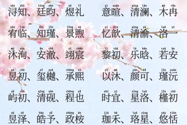 2019年3月19号子时出生的男孩如何起名姓名