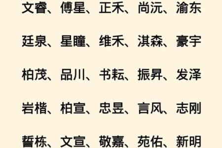 2019年5月3号子时出生的男孩应该起什么样的名字姓名