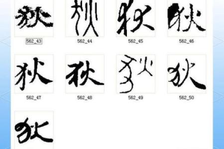 狄姓女孩名字大全-狄姓女孩起名字大全-狄姓名字大全姓名