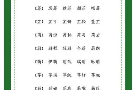 兔年女孩子起名字大全-兔年起名字姓名