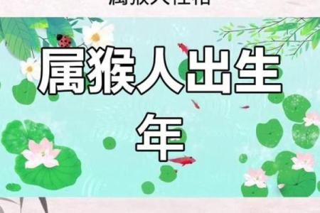 属猴申时出生的男孩如何起名，宜用什么字姓名