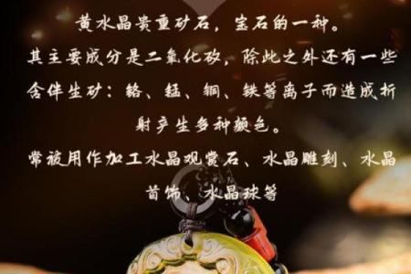 晚上10点出生的属鸡男孩用什么字取名字合适姓名