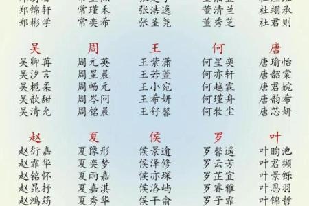危姓男孩名字大全-危姓男孩起名字大全-危姓名字大全姓名