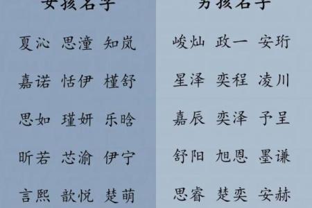 2019年6月26号子时出生的男孩要怎么起名字姓名