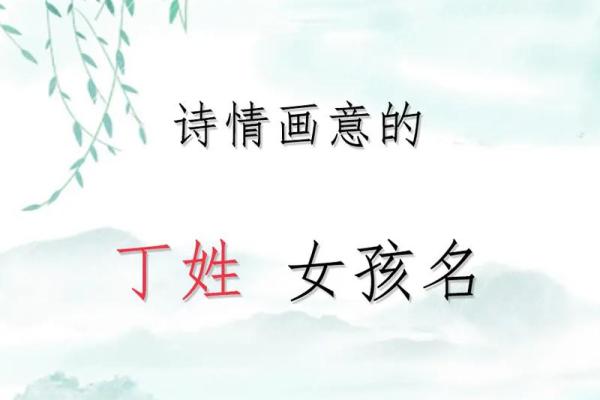 丁姓男孩名字大全-丁姓男孩起名字大全-丁姓名字大全姓名