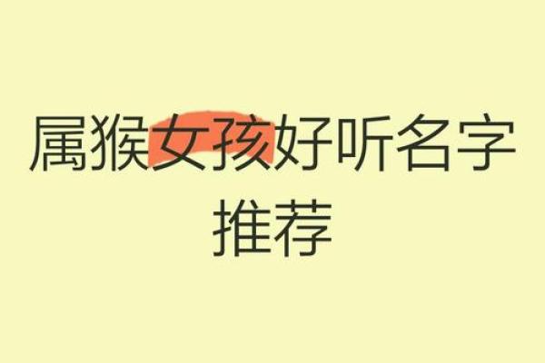 中午十二点出生的属猴男孩如何取名，适合什么字姓名