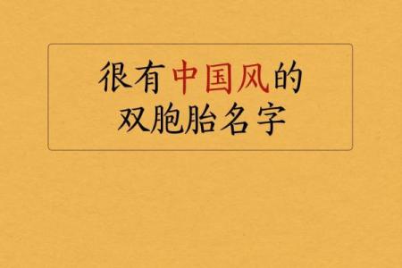 双胞胎宝宝起名的知识都有哪些-姓名学-华易网姓名