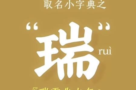 名字与个性-姓名学-姓名分析姓名