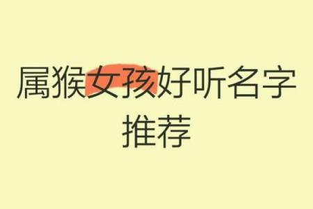中午十二点出生的属猴男孩如何取名，适合什么字姓名
