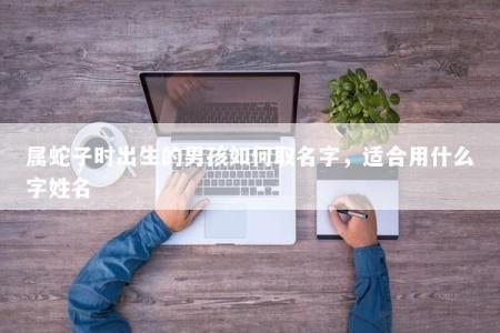 属蛇子时出生的男孩如何取名字，适合用什么字姓名
