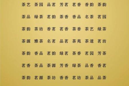 茶叶店名字大全-名字大全姓名