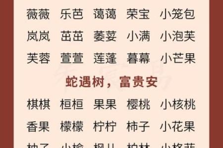 12月份出生的属蛇男孩起什么名字好呢姓名