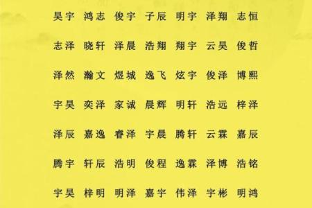 2019年4月23号寅时出生的男孩要怎么起名字姓名