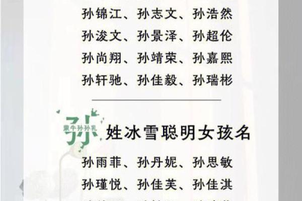 孙姓男孩名字大全-孙姓男孩起名字大全-孙姓名字大全姓名