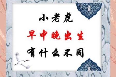 半夜出生的属虎男孩起什么名，应用什么字姓名