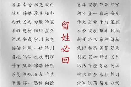 2019年4月22号子时出生的男孩应该起什么样的名字姓名