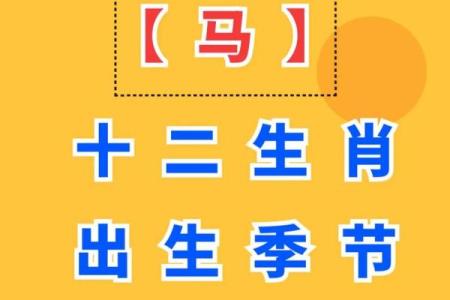 二月份出生属马的男孩该取什么名字姓名