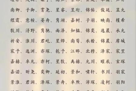 2019年3月20号申时出生的男孩起名方法姓名