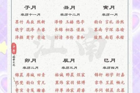 2019年3月24号亥时出生的男孩起名时要注意什么姓名