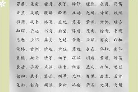 9月份出生的属龙男孩适合取什么名字姓名