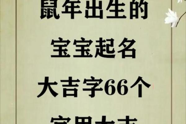 给属鼠子时出生的男孩取名的小妙招姓名 给属鼠子时出生的男孩取名的小妙招姓名