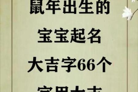 给属鼠子时出生的男孩取名的小妙招姓名