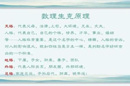 五格的五行属性-姓名学-姓名分析姓名