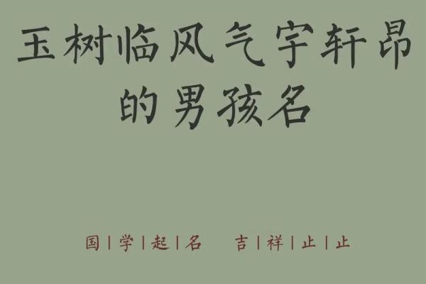 2019年3月31号酉时出生的男孩要怎么起名字姓名 2019年3月31号酉时出生的男孩要怎么起名字姓名