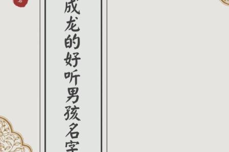 2019年5月12号丑时出生的男孩应该起什么样的名字姓名