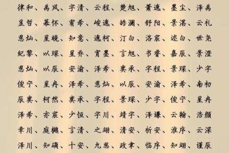 2019年5月18号寅时出生的男孩要怎么起名字姓名