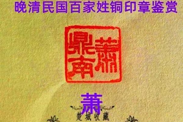 萧姓女孩名字大全-萧姓女孩起名字大全-萧姓名字大全姓名 萧姓女孩名字大全-萧姓女孩起名字大全-萧姓名字大全姓名
