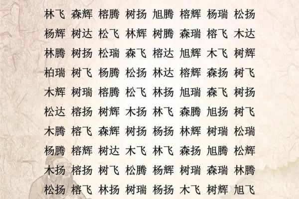 网络公司名字大全-名字大全姓名