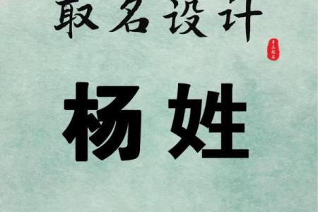 姓杨的名人-名人大全-姓名学-华易算命网姓名