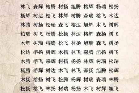 网络公司名字大全-名字大全姓名