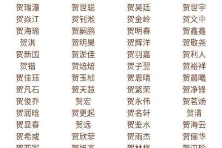 贺姓女孩名字大全-贺姓女孩起名字大全-贺姓名字大全姓名