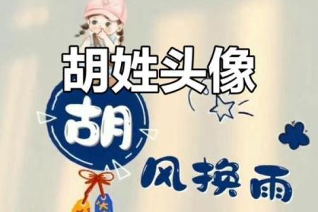 2019年出生的姓胡男孩如何起名，宜用什么字姓名